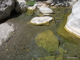 stoleone-17-08-2014 12-16-51